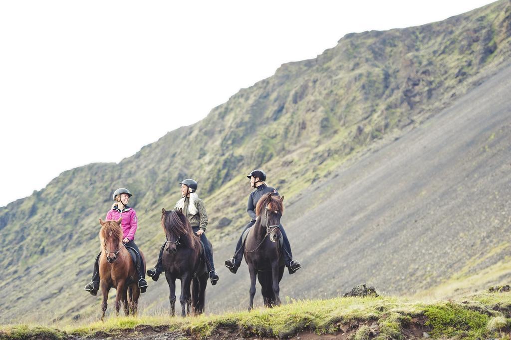 Akurgerthi Guesthouse 2 - Country Life Style Olfus Bagian luar foto