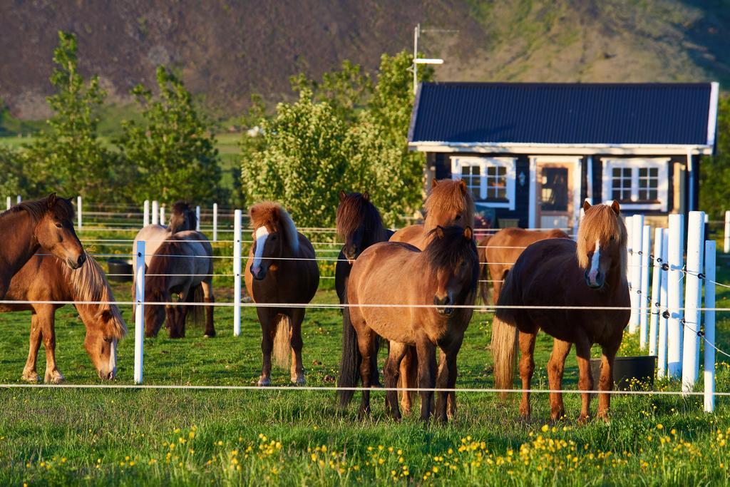 Akurgerthi Guesthouse 2 - Country Life Style Olfus Bagian luar foto